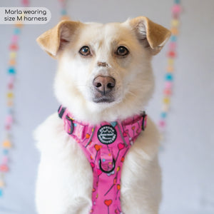 Tough Trails™ Harness - Candypop