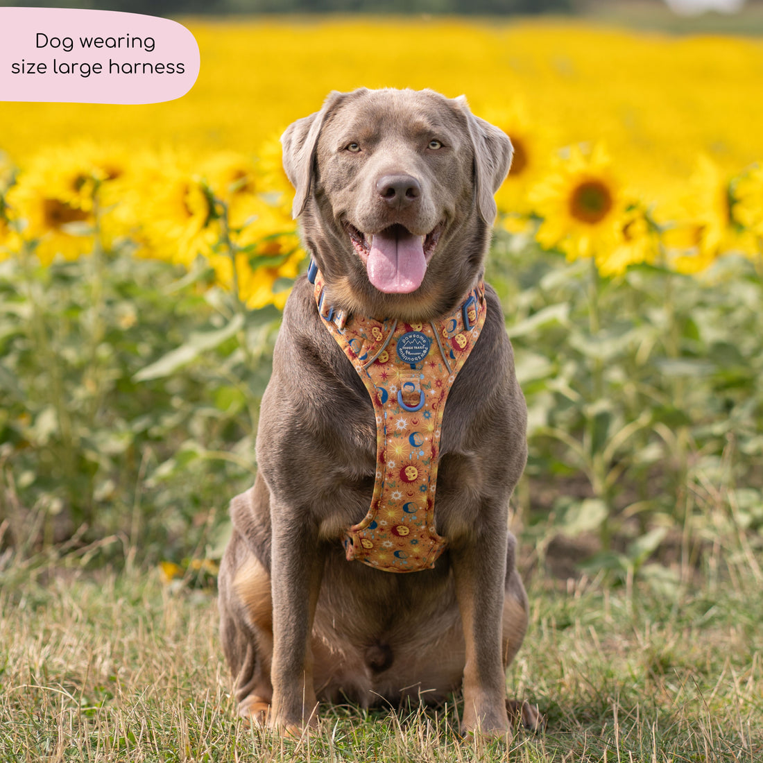 Tough Trails™ Harness - Celestial Spirit