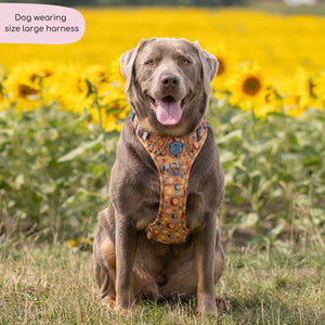 Tough Trails™ Harness - Celestial Spirit