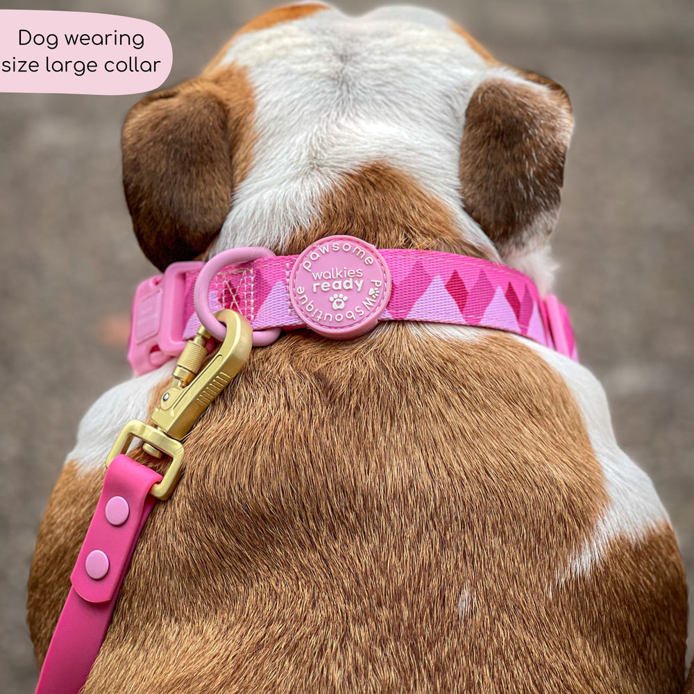 Collar - Walkies Ready® Raspberry Pink