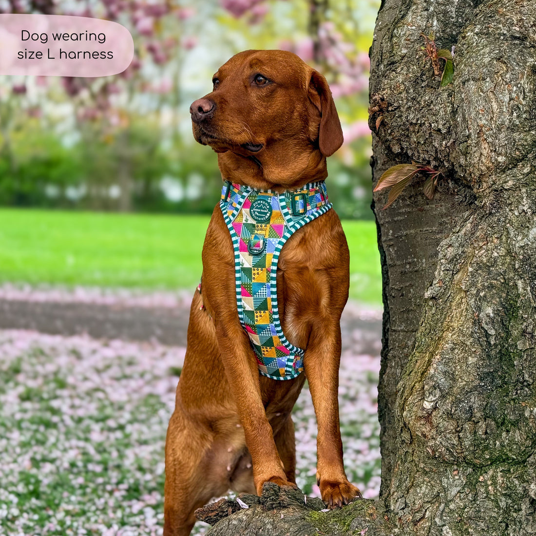 Tough Trails™ Harness -  Patchwork
