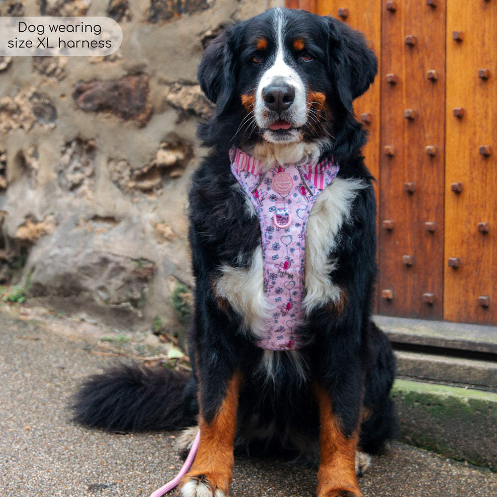 Disney© Tough Trails™ Harness - Piglet