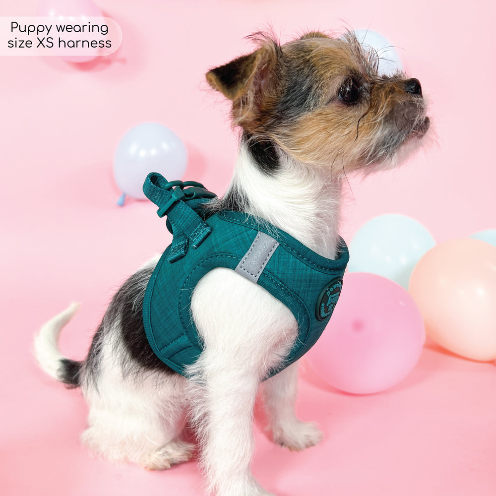 Pawsome Pup Harness - Emerald
