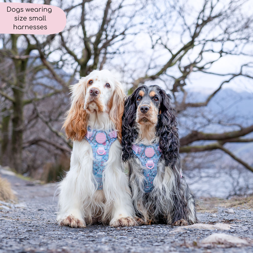 Disney© Tough Trails™ Harness - Mad Hatters Tea Party