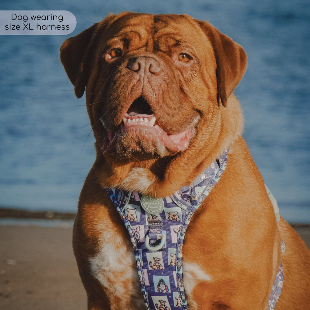 Disney© Tough Trails™ Harness -  Winnie + Friends