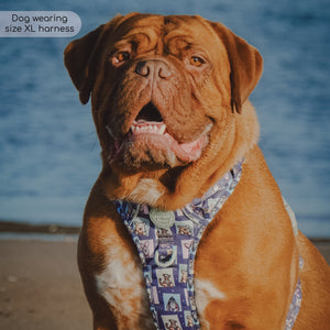 Disney© Tough Trails™ Harness -  Winnie + Friends