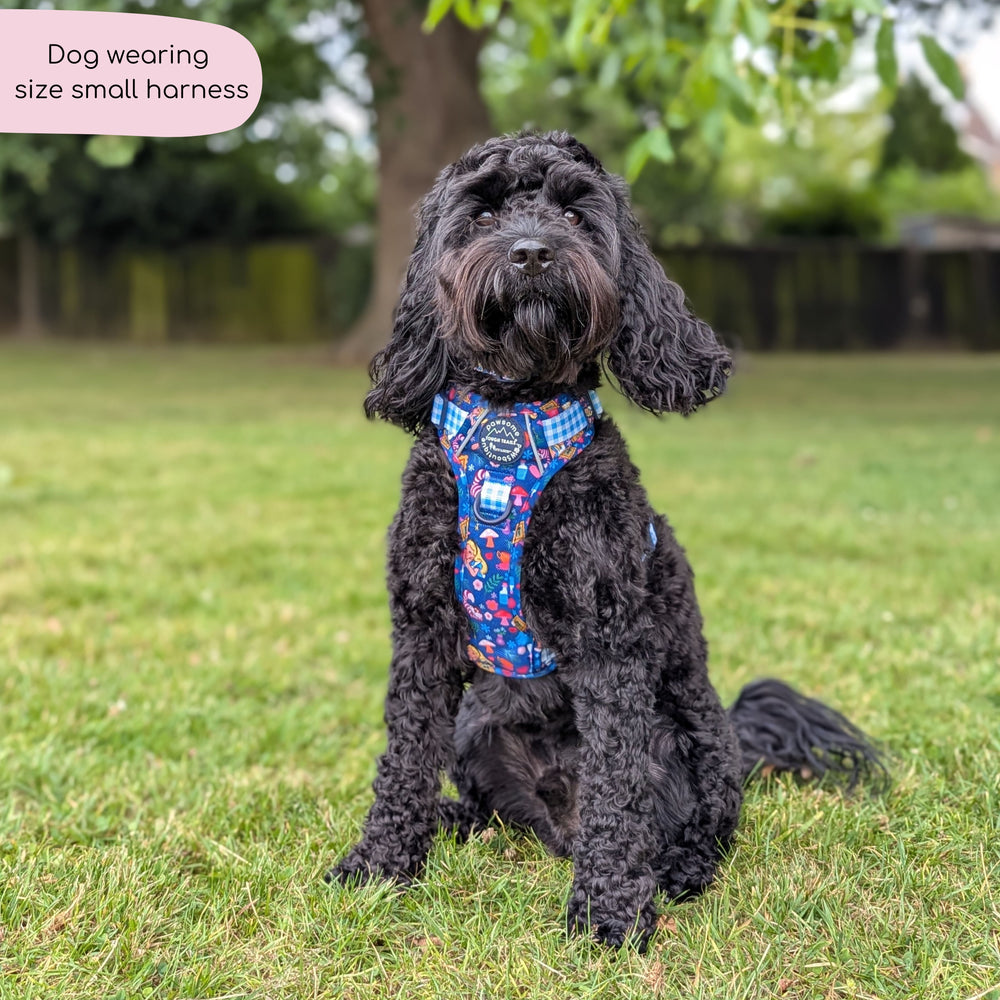 Disney© Tough Trails™ Harness - Alice In Wonderland