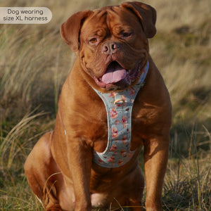 Disney© Tough Trails™ Harness - Winnie The Pooh