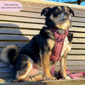 Tough Trails™ Harness - Country Burgundy