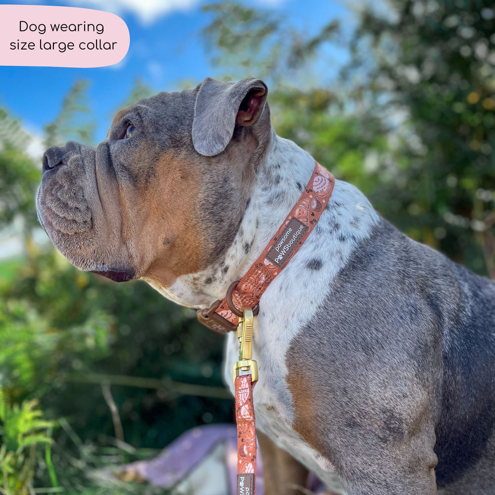 Collar - Cinnamon Spice