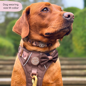 Collar – Walkies Ready® Chocolate Brown