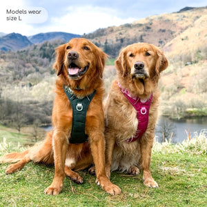 Tough Trails™ Harness - Walkies Ready® Raspberry Pink