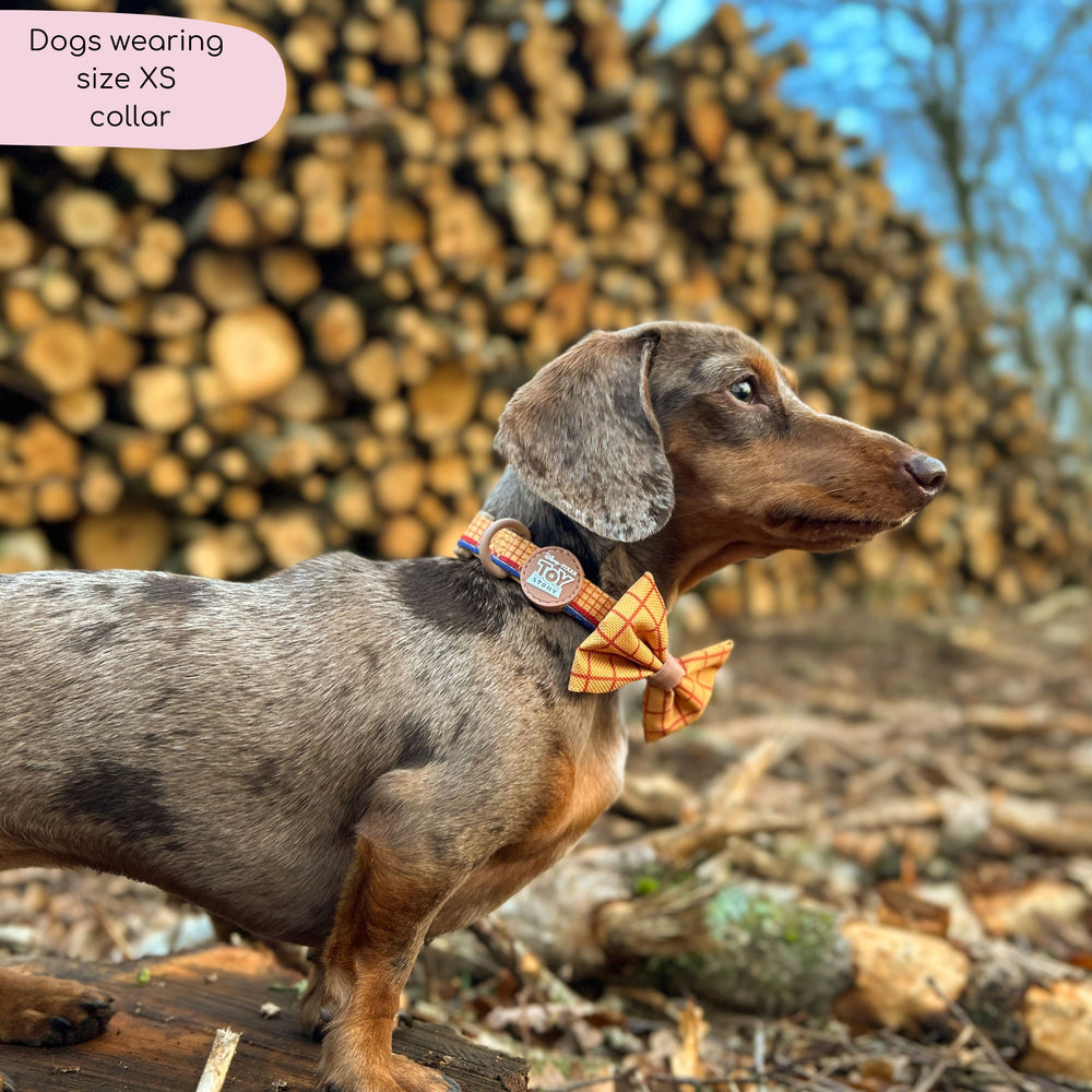 Disney© Collar - Woody