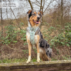 Disney© Tough Trails™ Harness - 100 Aker Wood