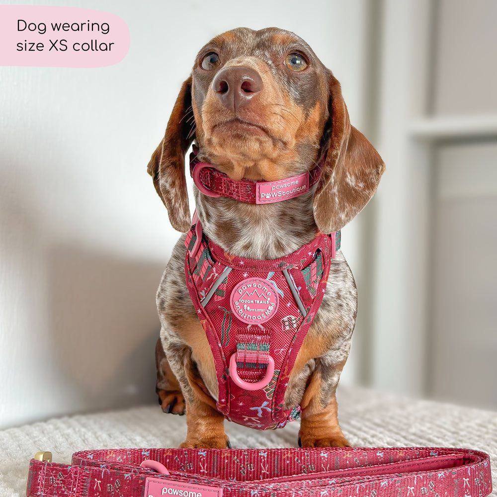 Collar - Bows Of Joy