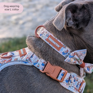 Paddington™ Collar - Peckish Paddington