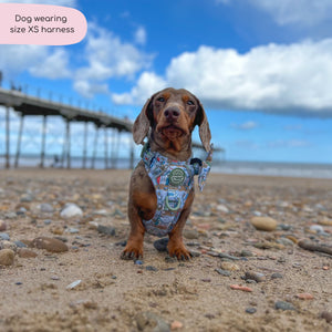 Tough Trails™ Harness -  Sandy Shores