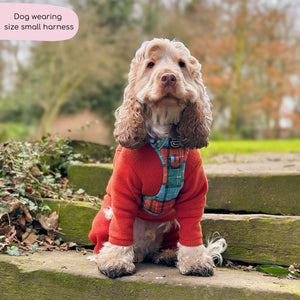 Tough Trails™ Harness - Harvest Plaid