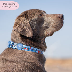 Disney© Collar - Stitch's Fruit Fiesta