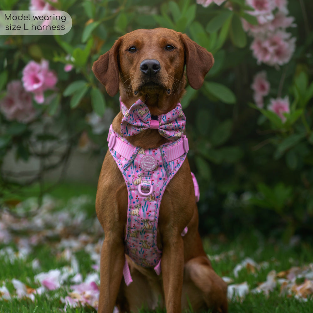 Disney© Tough Trails™ Harness - Nala