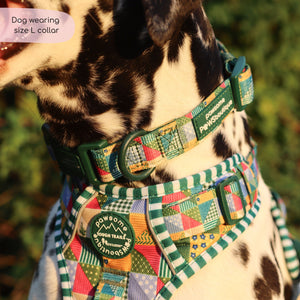 Collar - Patchwork