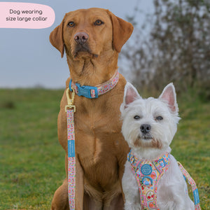 Collar - Summer Vacay