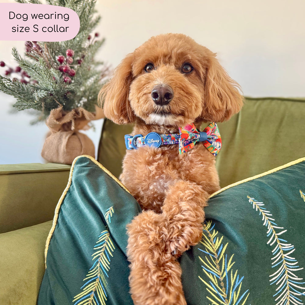 Disney© Collar - Lady + The Tramp