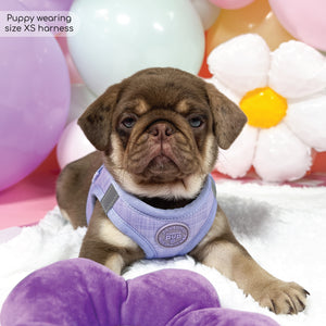 Pawsome Pup Harness - Lilac