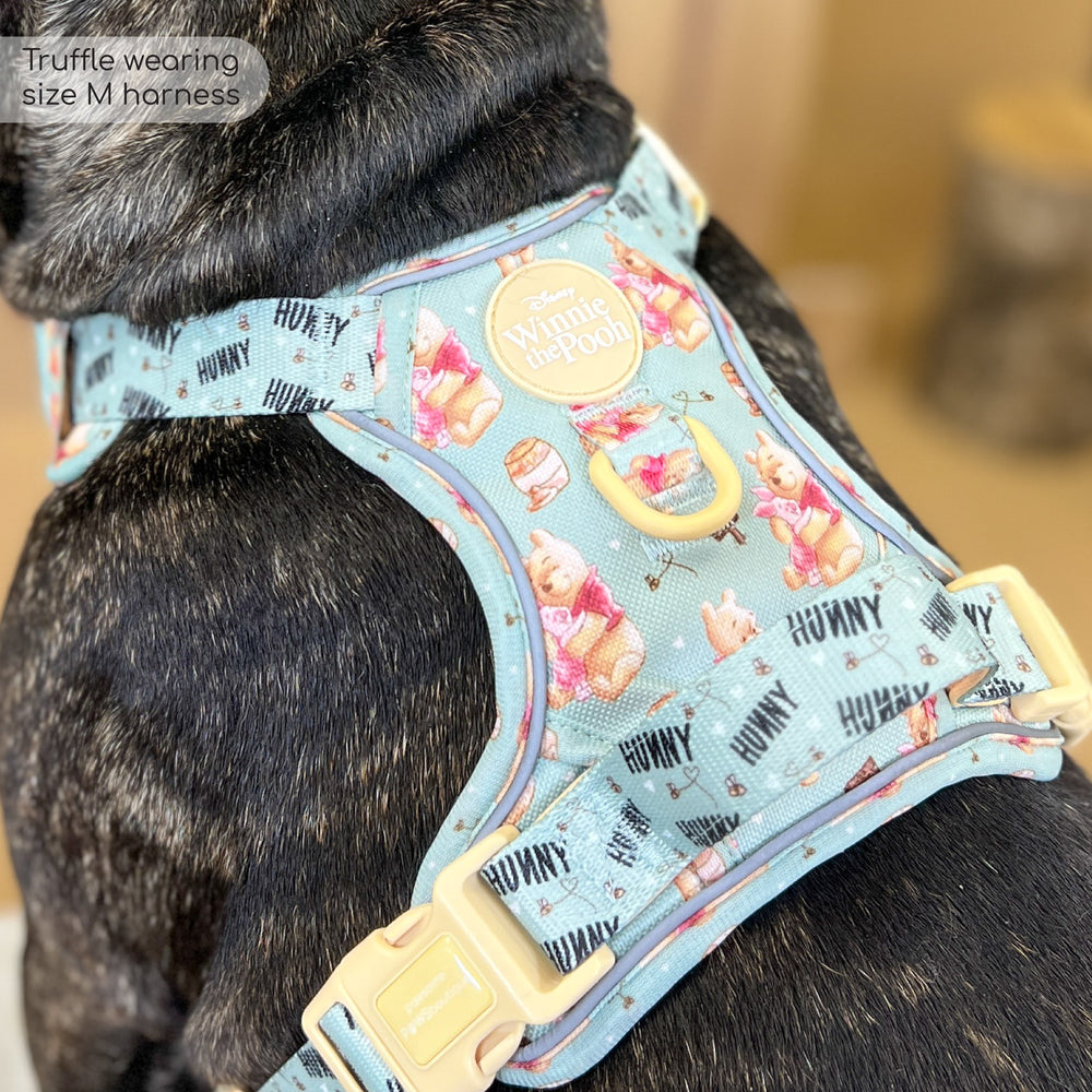 Disney© Tough Trails™ Harness - Winnie The Pooh