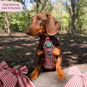 Tough Trails™ Harness - Yuletide Plaid