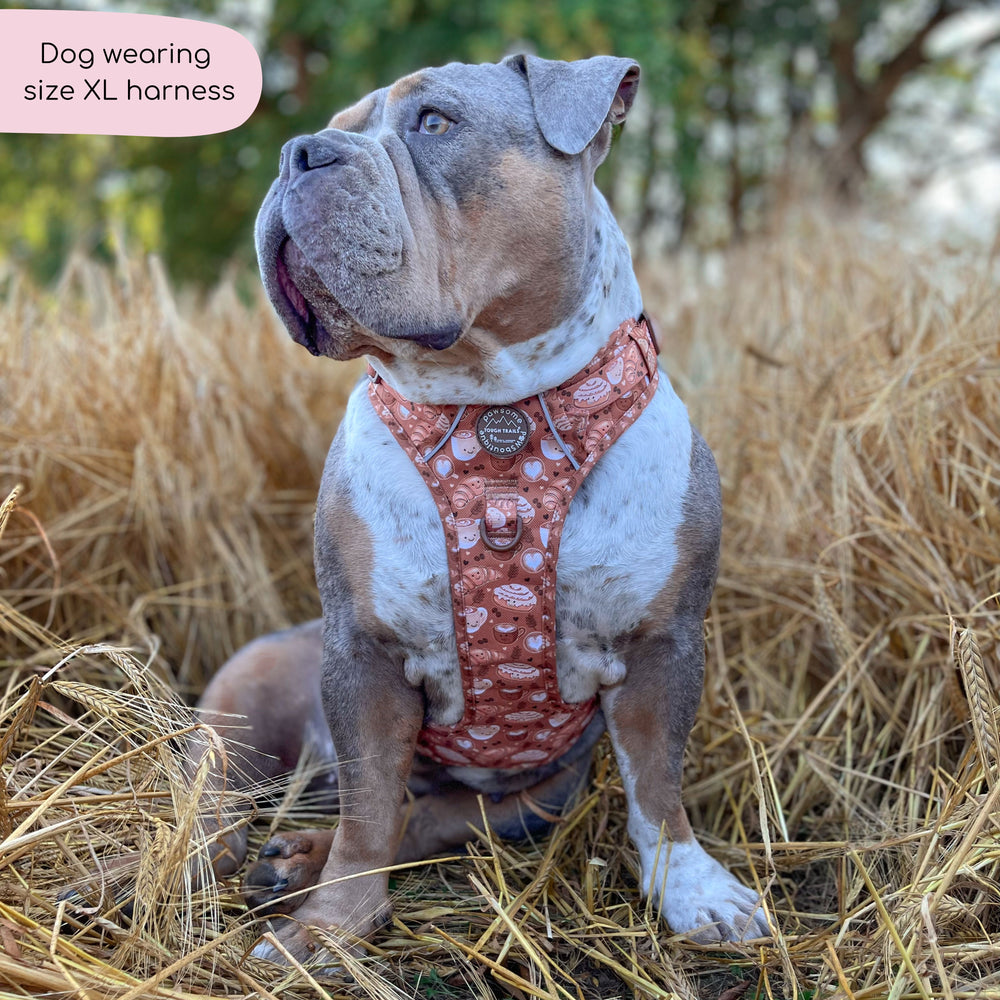 Tough Trails™ Harness - Cinnamon Spice