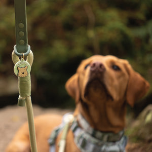 Disney© 4ft Rope Lead - 100 Aker Wood - Light and Dark Green