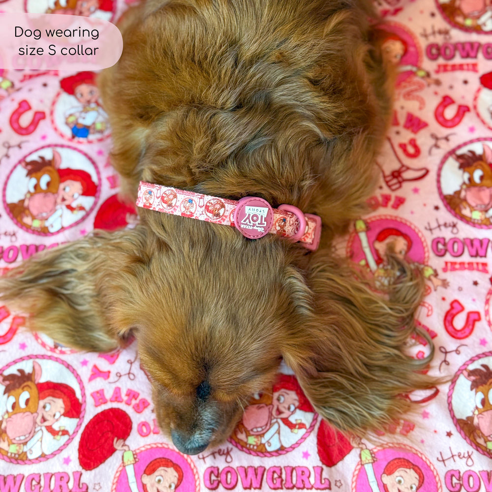 Disney© Collar - Jessie