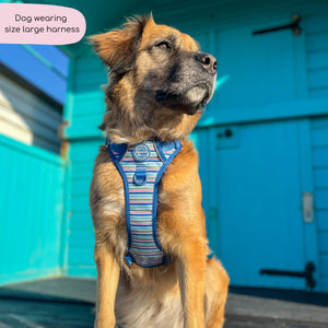Tough Trails™ Harness -  Sailor Stripes