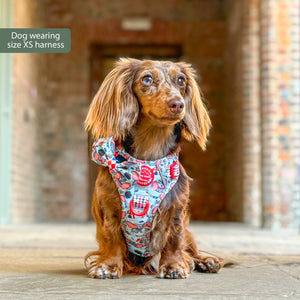 Disney© Tough Trails™ Harness - Dumbo