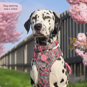 Collar - Cherry Blossom