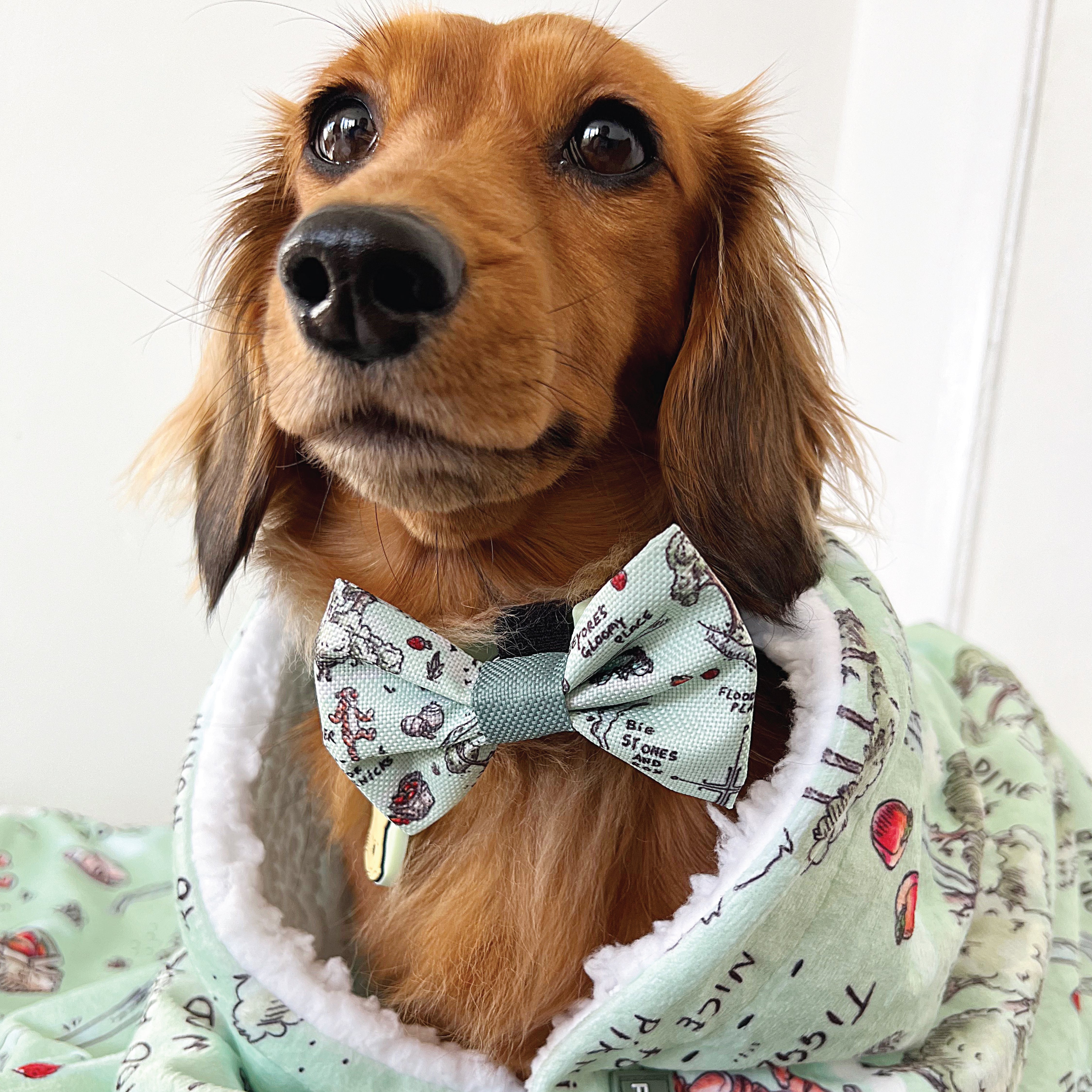 Disney© Dog Blanket - 100 Aker Wood – Pawsome Paws Boutique