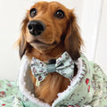 Disney© Dog Blanket - 100 Aker Wood