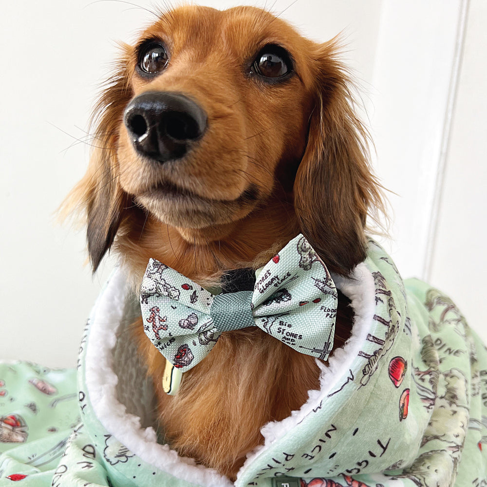 Disney© Dog Blanket - 100 Aker Wood