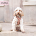 Disney© Tough Trails™ Harness - Slinky