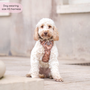 Disney© Tough Trails™ Harness - Slinky