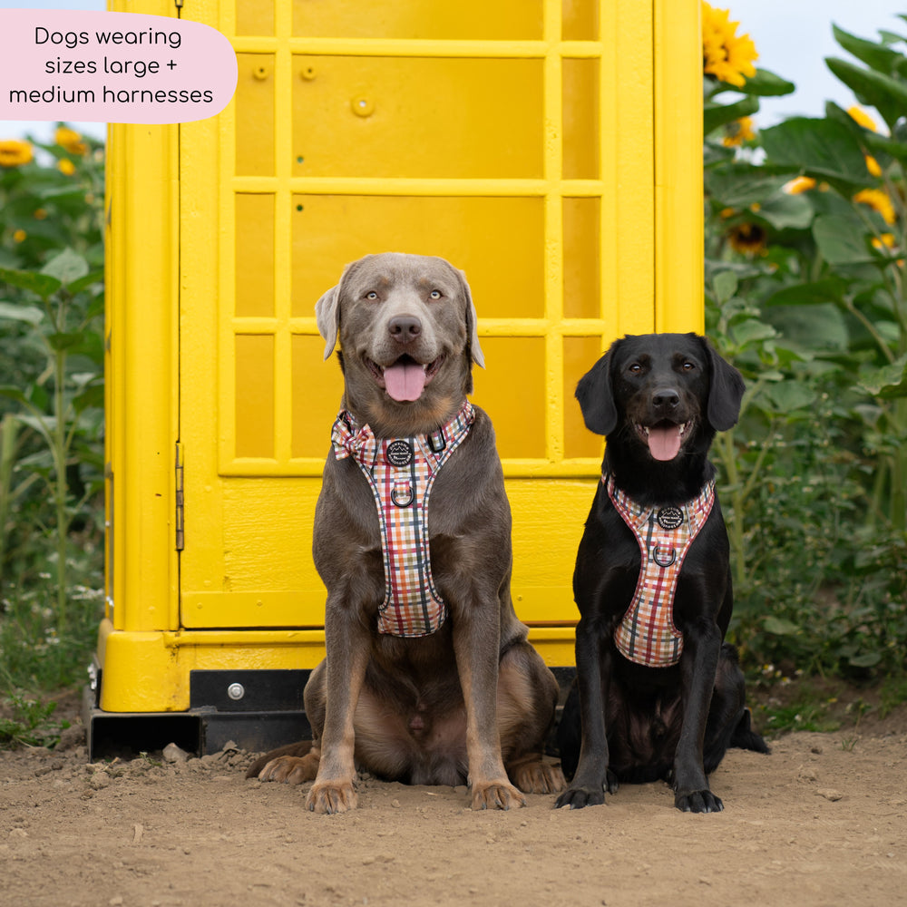 Tough Trails™ Harness - Plaid Pup