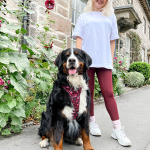 Walkies Ready® Leggings - Mulberry
