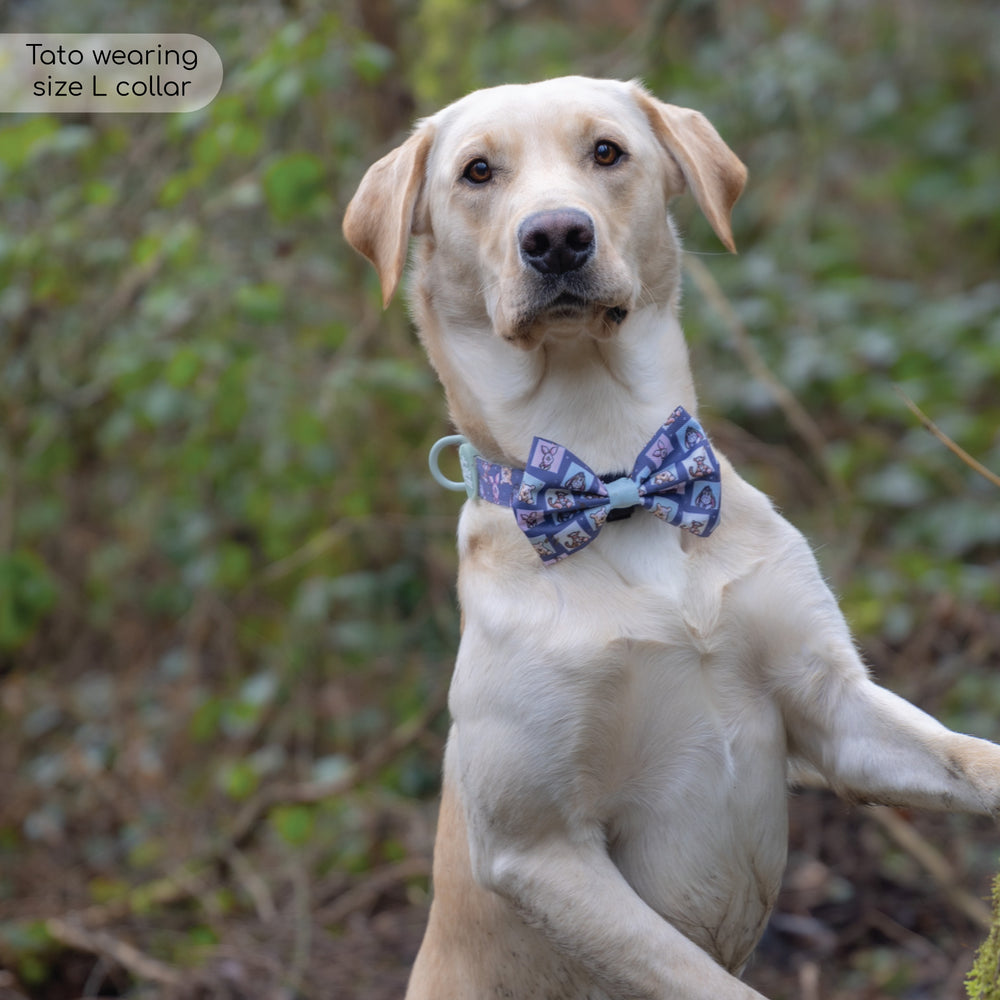 Disney© Bow Tie - Winnie + Friends