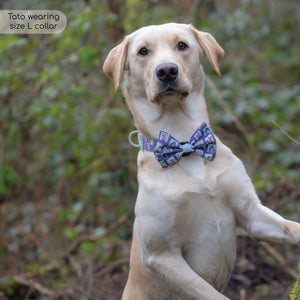 Disney© Bow Tie - Winnie + Friends