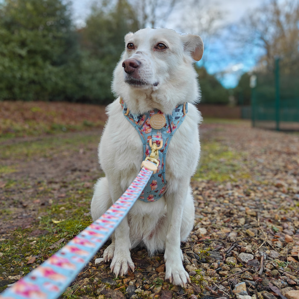 Disney© Lead - Winnie the Pooh