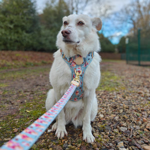 Disney© Lead - Winnie the Pooh