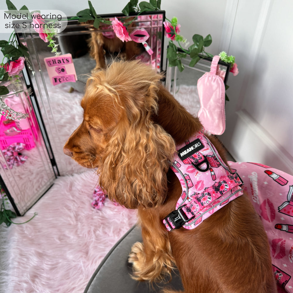 Tough Trails™ Harness - Mean Girls