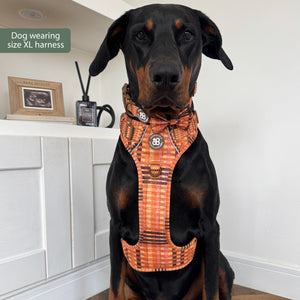 Tough Trails™ Harness -  Golden Acre