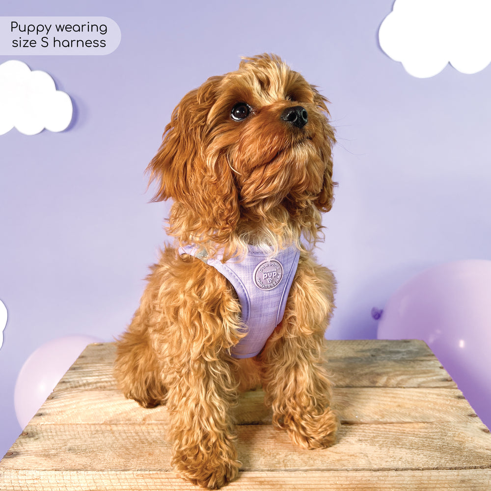 Pawsome Pup Harness - Lilac